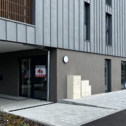 LOCAUX PROFESSIONNELS - VENDENHEIM - 401 m² divisible à partir de 200 m²