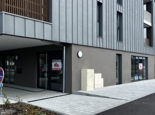 LOCAUX PROFESSIONNELS - VENDENHEIM - 401 m² divisible à partir de 200 m² - Habitation Moderne