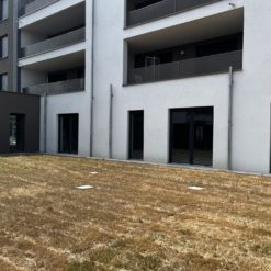LOCAUX PROFESSIONNELS - VENDENHEIM - 401 m² divisible à partir de 200 m²