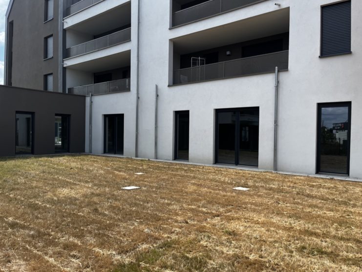 LOCAUX PROFESSIONNELS - VENDENHEIM - 401 m² divisible à partir de 200 m²