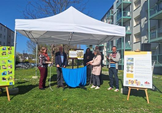 Habitation moderne poursuit son engagement pour la biodiversité urbaine sur son patrimoine : la cité de l’ill devient refuge LPO - Habitation Moderne