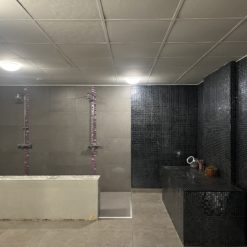 LOCAUX COMMERCIAUX - OSTWALD - 157 m²