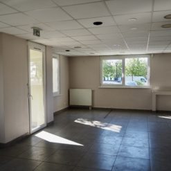 LOCAUX COMMERCIAUX - OSTWALD - 157 m²