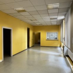 LOCAUX PROFESSIONNELS - STRASBOURG (Montagne Verte) - 195 m²